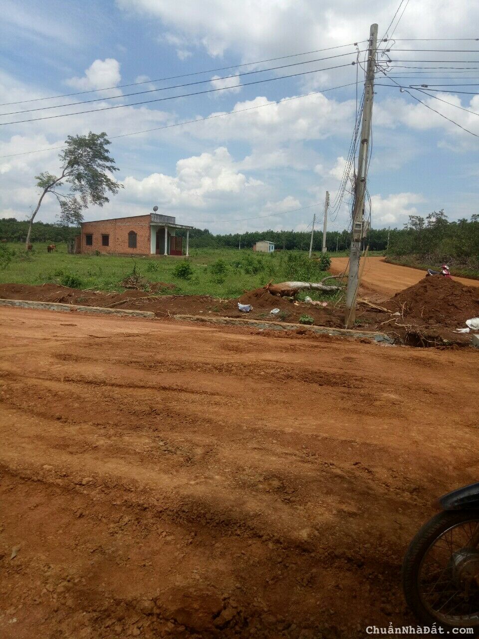 Chính chủ cần bán gấp 750m2, mặt tiền 15m, đất ngay KCN Tân Hưng.