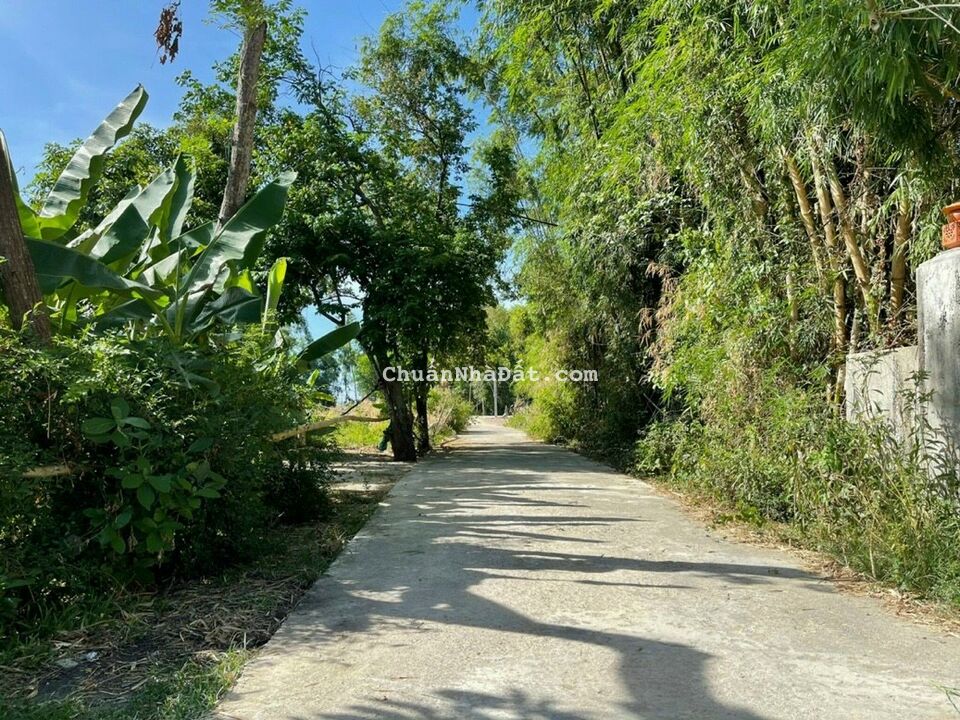 Bán Đất Phú Hồ - Gần Trường THCS Phú Hồ - Phú Vang TT Huế Bán Đất Phú Hồ - Gần Trường THCS Phú Hồ - Phú Vang TT Huế