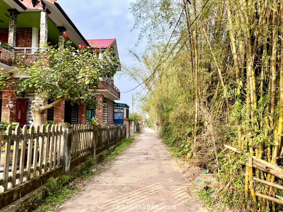 Bán Đất Phú Lương - song song Tỉnh lộ 10 - Phú Vang TT Huế 