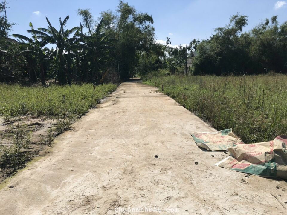 Bán Đất Nho Lâm - Quảng Phú - Quảng Điền Giá rẻ nhất thị trường Bán Đất Nho Lâm - Quảng Phú - Quảng Điền Giá rẻ nhất thị trường
