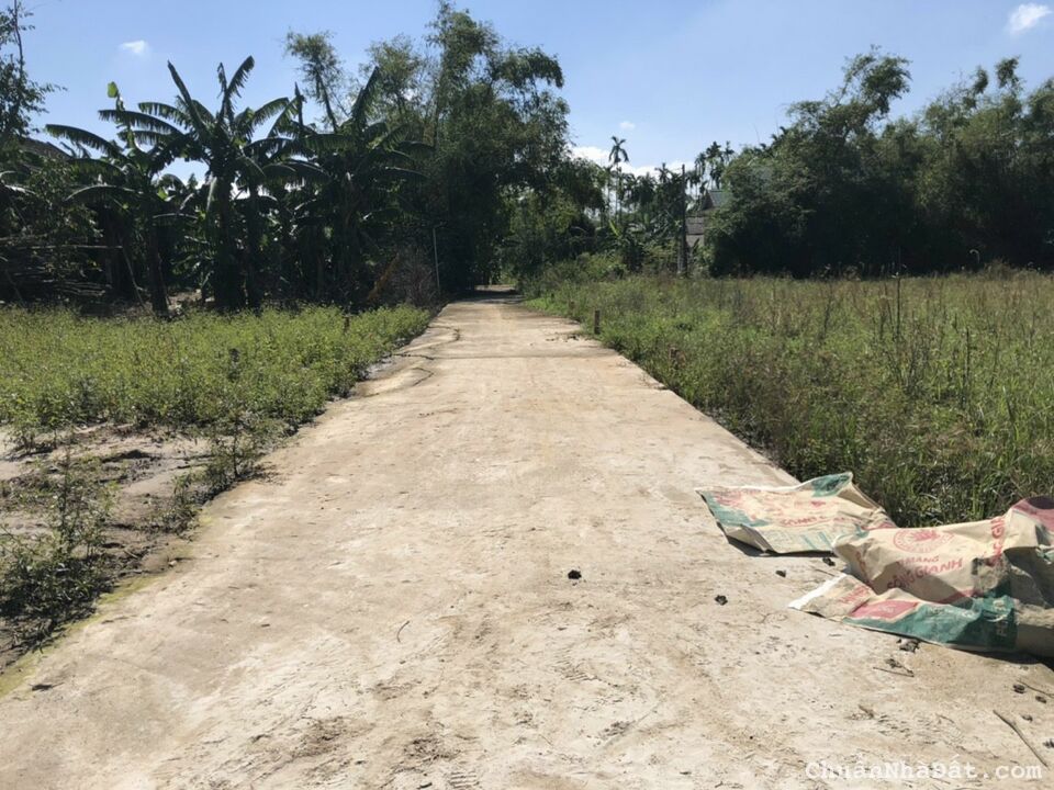 Đất Nho Lâm - Quảng Phú - Quảng Điền TT Huế Đất Nho Lâm - Quảng Phú - Quảng Điền TT Huế