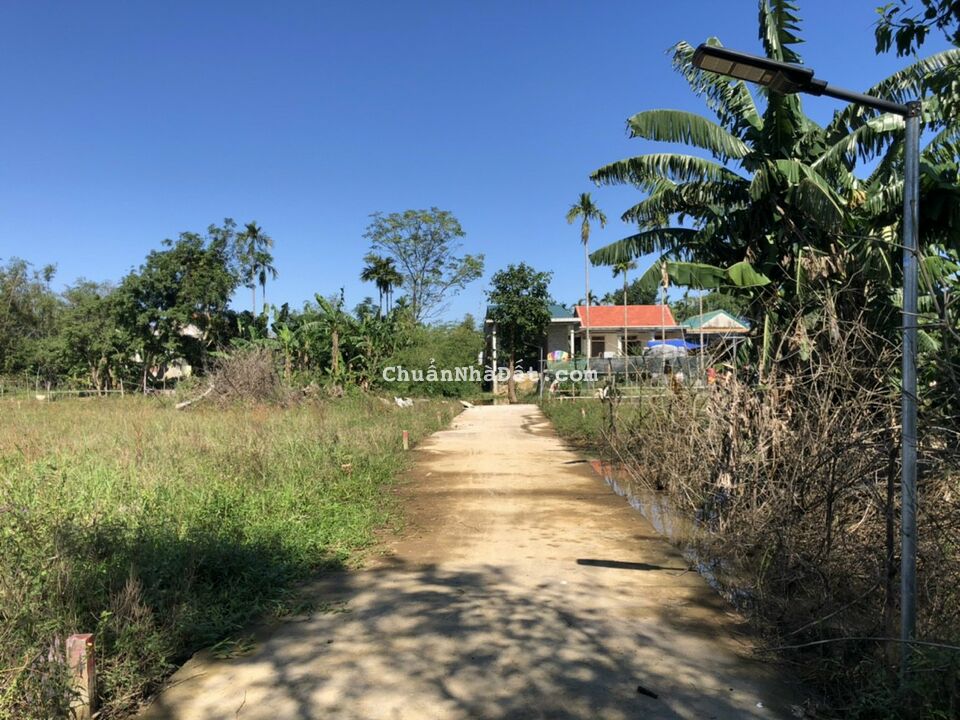 Bán Đất Nho Lâm - Quảng Phú - Quảng Điền Giá rẻ nhất thị trường Bán Đất Nho Lâm - Quảng Phú - Quảng Điền Giá rẻ nhất thị trường