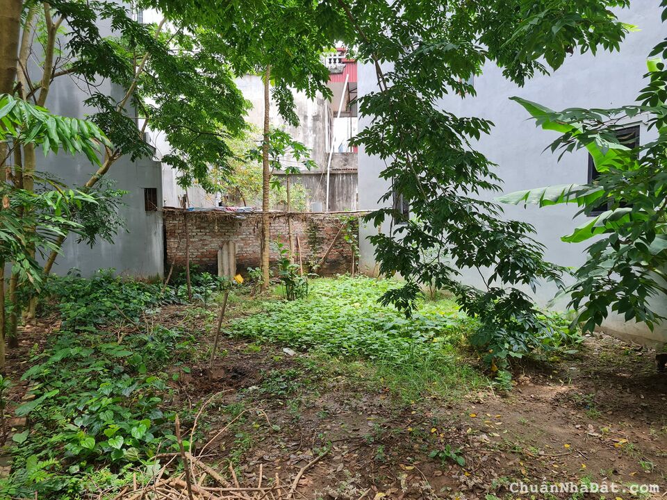 Bán đất phù hợp xây khách sạn,chung cư phố Nguyễn Văn Cừ,Long Biên,135m,mt 8m,giá 14 tỷ.