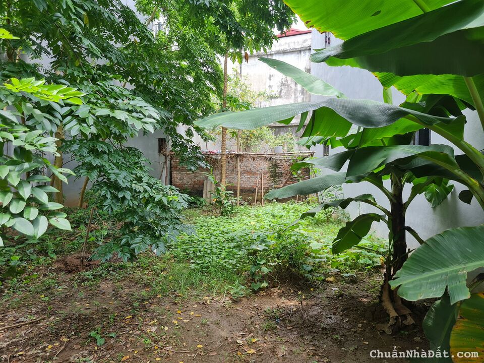 Bán đất phù hợp xây khách sạn,chung cư phố Nguyễn Văn Cừ,Long Biên,135m,mt 8m,giá 14 tỷ.