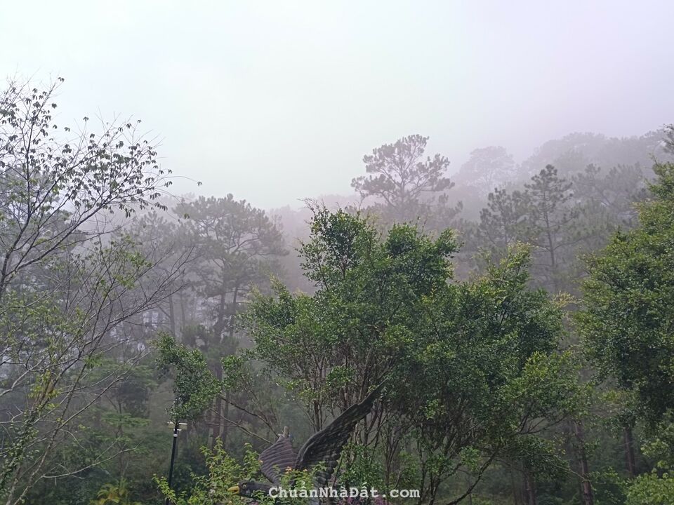 BÁN ĐẤT NỀN NGHỈ DƯỠNG, HOMESTAY FULL THỔ CƯ 