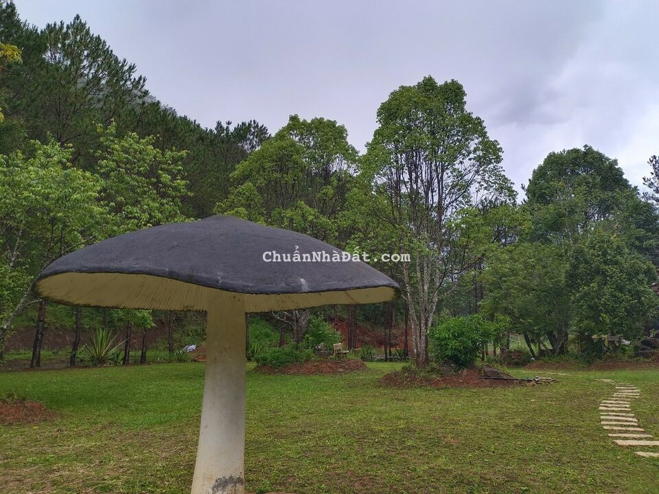 BÁN ĐẤT NỀN NGHỈ DƯỠNG, HOMESTAY FULL THỔ CƯ 