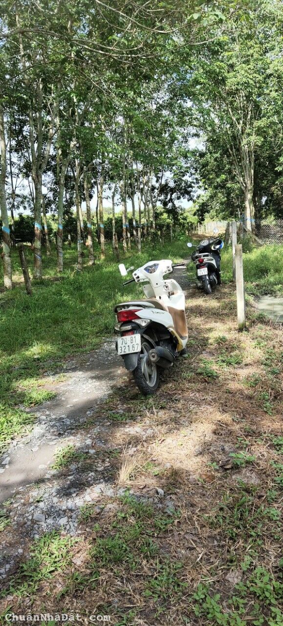 BÁN ĐẤT NỀN FULL THỔ CƯ GẦN KHU CÔNG NGHIỆP