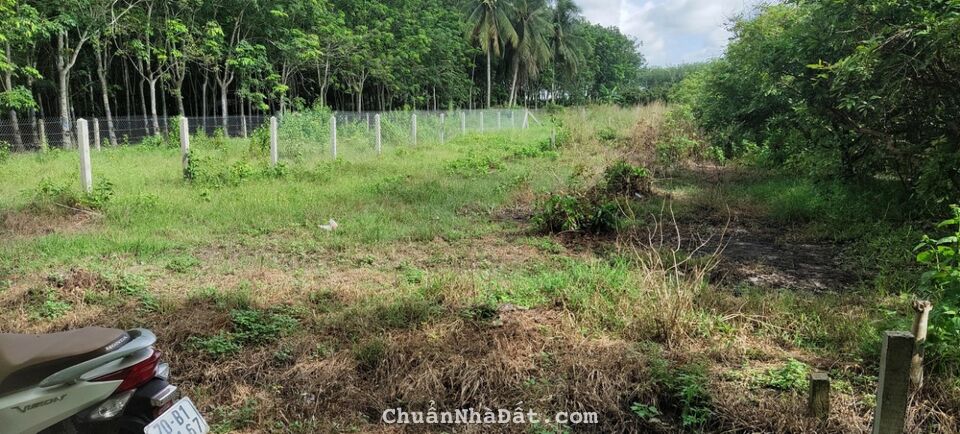 BÁN ĐẤT NỀN FULL THỔ CƯ GẦN KHU CÔNG NGHIỆP