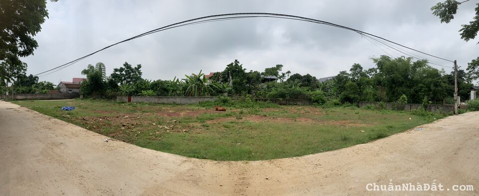 LÔ ĐẤT TIỀM NĂNG GẦN CTY VIETPAN-HIỆP HÒA