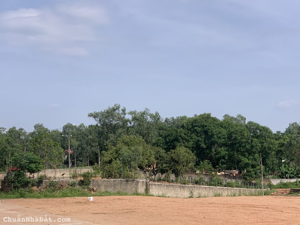 ĐẤT SIÊU RẺ VÀ GIỘNG TẠI HIỆP HÒA -BẮC GIANG