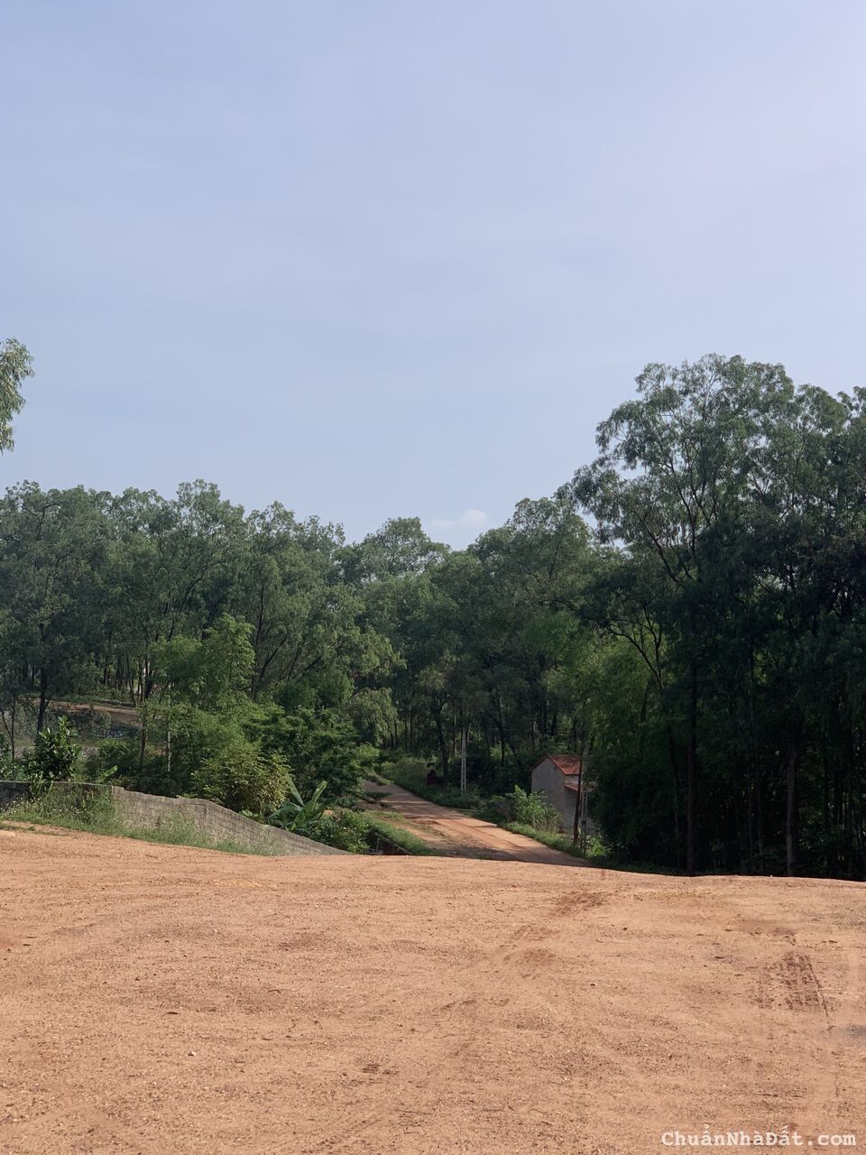 ĐẤT SIÊU RẺ VÀ GIỘNG TẠI HIỆP HÒA -BẮC GIANG