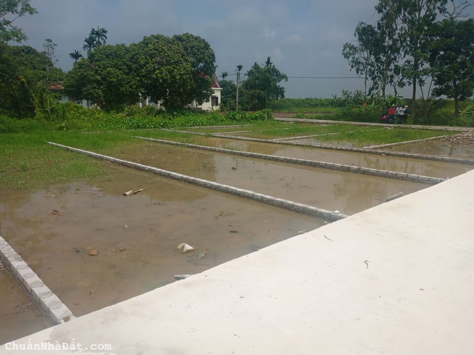 Bên em đang mở bán 60 lô đất khu Bát Trang- An Lão Bên em đang mở bán 60 lô đất khu Bát Trang- An Lão