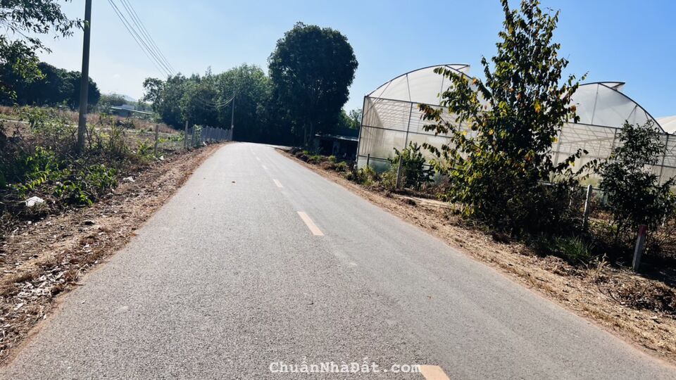 MẶT TIỀN ĐƯỜNG NGUYỄN HUỆ XÃ PHƯỚC LONG THỌ ĐẤT ĐỎ BRVT DT 423M2 CÓ SẴN 100M2 THỔ CƯ