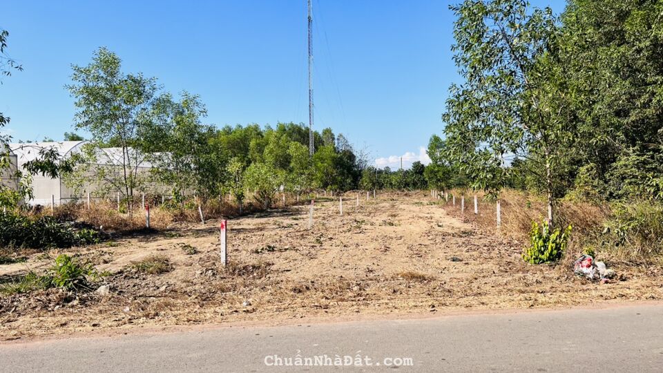 MẶT TIỀN ĐƯỜNG NGUYỄN HUỆ XÃ PHƯỚC LONG THỌ ĐẤT ĐỎ BRVT DT 423M2 CÓ SẴN 100M2 THỔ CƯ