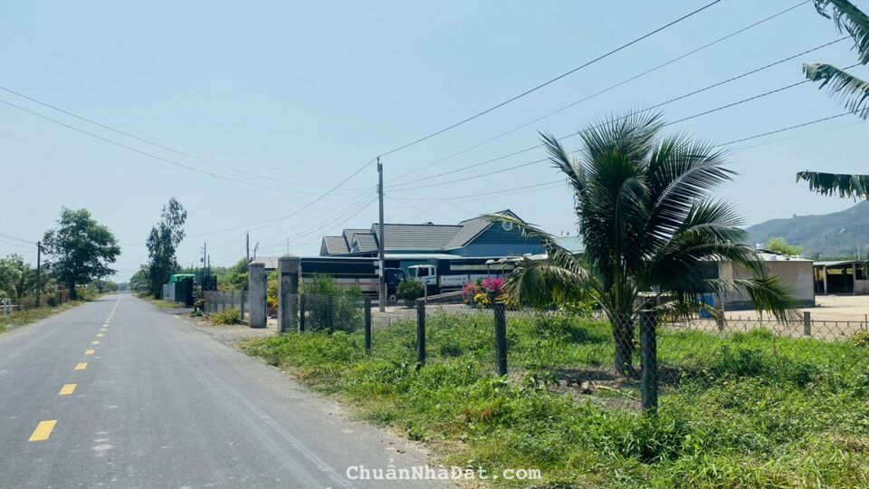 ĐẤT MT ĐƯỜNG NHỰA ĐỐI DIỆN HỒ BÚT THIỀN XÃ LONG MỸ ĐẤT ĐỎ BRVT DT 910M2 CÓ 100M2 THỔ CƯ ĐẤT MT ĐƯỜNG NHỰA ĐỐI DIỆN HỒ BÚT THIỀN XÃ LONG MỸ ĐẤT ĐỎ BRVT DT 910M2 CÓ 100M2 THỔ CƯ