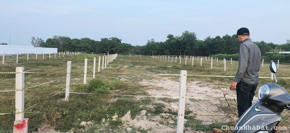 ĐẤT MT ĐƯỜNG NHỰA ĐỐI DIỆN HỒ BÚT THIỀN XÃ LONG MỸ ĐẤT ĐỎ BRVT DT 910M2 CÓ 100M2 THỔ CƯ ĐẤT MT ĐƯỜNG NHỰA ĐỐI DIỆN HỒ BÚT THIỀN XÃ LONG MỸ ĐẤT ĐỎ BRVT DT 910M2 CÓ 100M2 THỔ CƯ