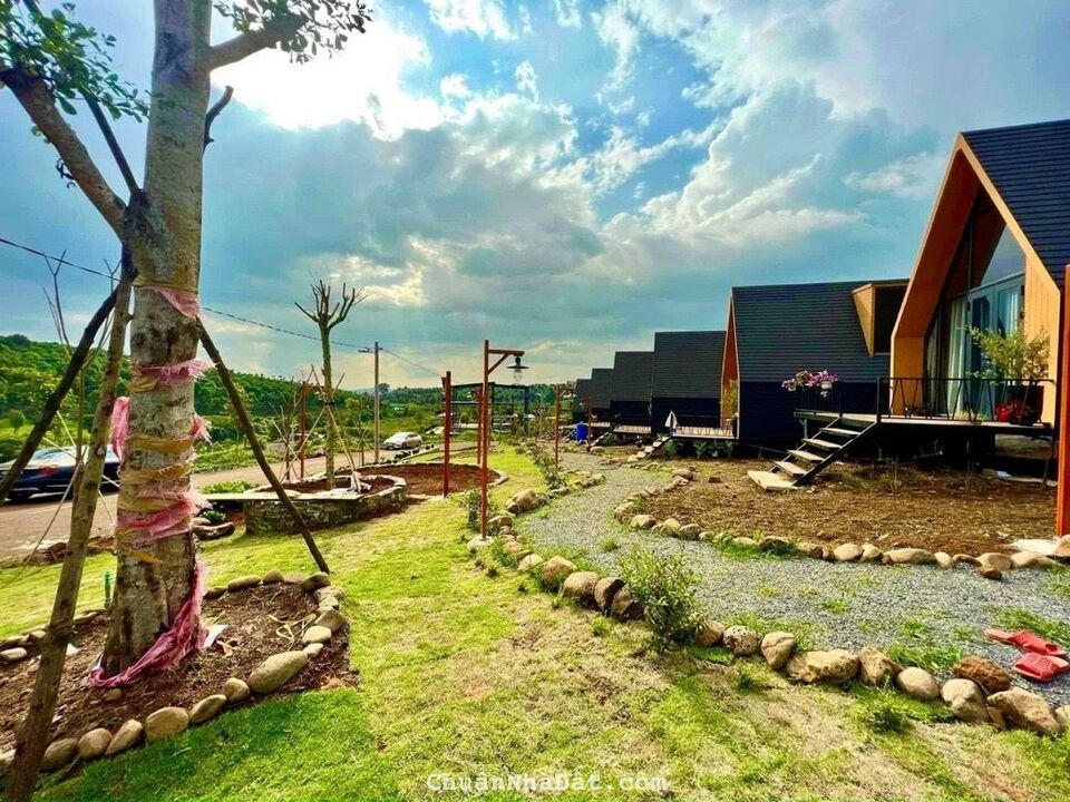 ĐỒI THÔNG SĂN MÂY NGẮM HỒ ĐĂK LONG THƯỢNG