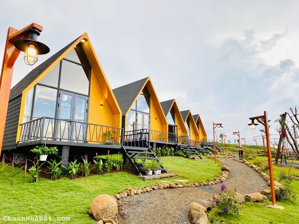 ĐỒI THÔNG SĂN MÂY NGẮM HỒ ĐĂK LONG THƯỢNG