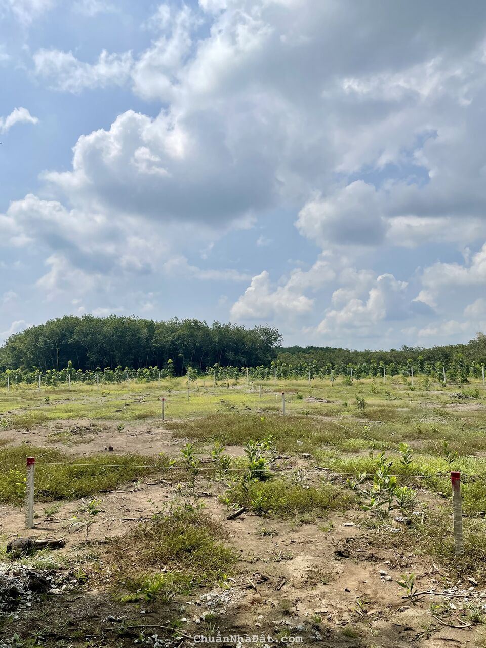 BÁN ĐẤT NỀN CHƠN THÀNH BÌNH PHƯỚC CHỈ 500TR