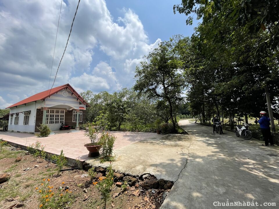 BÁN ĐẤT NỀN CHƠN THÀNH GIÁ CHỈ 500TR