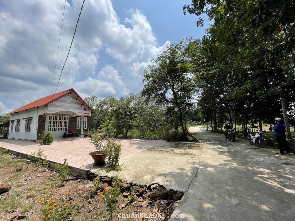 BÁN ĐẤT NỀN CHƠN THÀNH BÌNH PHƯỚC GIÁ 500TR BÁN ĐẤT NỀN CHƠN THÀNH BÌNH PHƯỚC GIÁ 500TR