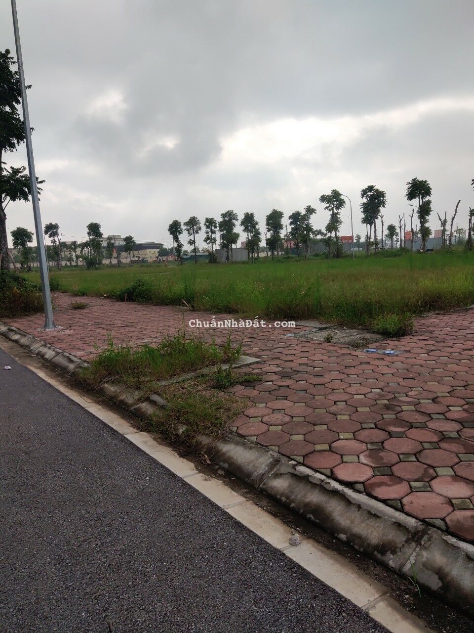 Bán đất đấu giá 75m2, MT 5m. Khu đấu giá DG06 thị trấn Quốc Oai. đã có sổ , giá Đầu tư