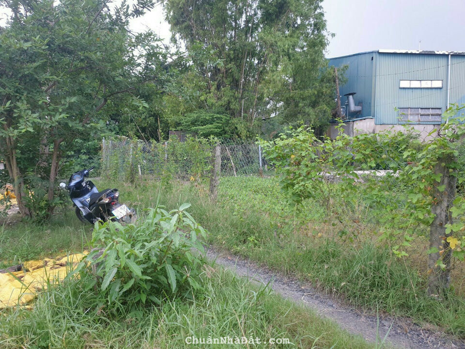 Bán đất nông nghiệp 190m² tại, Xã Hưng Long, Huyện Bình Chánh, TP. Hồ Chí Minh giá 1.2 tỷ Bán đất nông nghiệp 190m² tại, Xã Hưng Long, Huyện Bình Chánh, TP. Hồ Chí Minh giá 1.2 tỷ