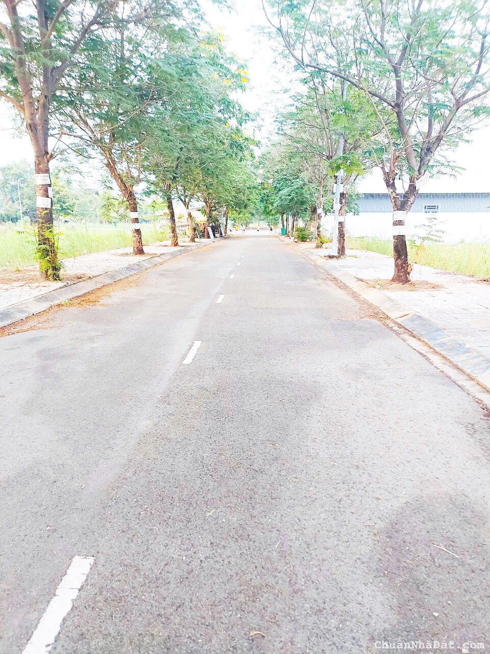 Bán đất Đại Học Mở, đường Tam Đa, TP. Thủ Đức, DT: 385m2 giá 10,4 tỷ