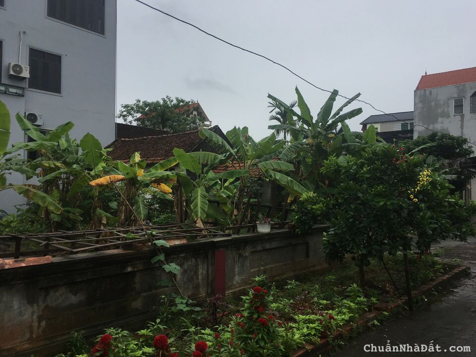 Bán Đất - Cộng Hòa - Quốc Oai - Hà Nội