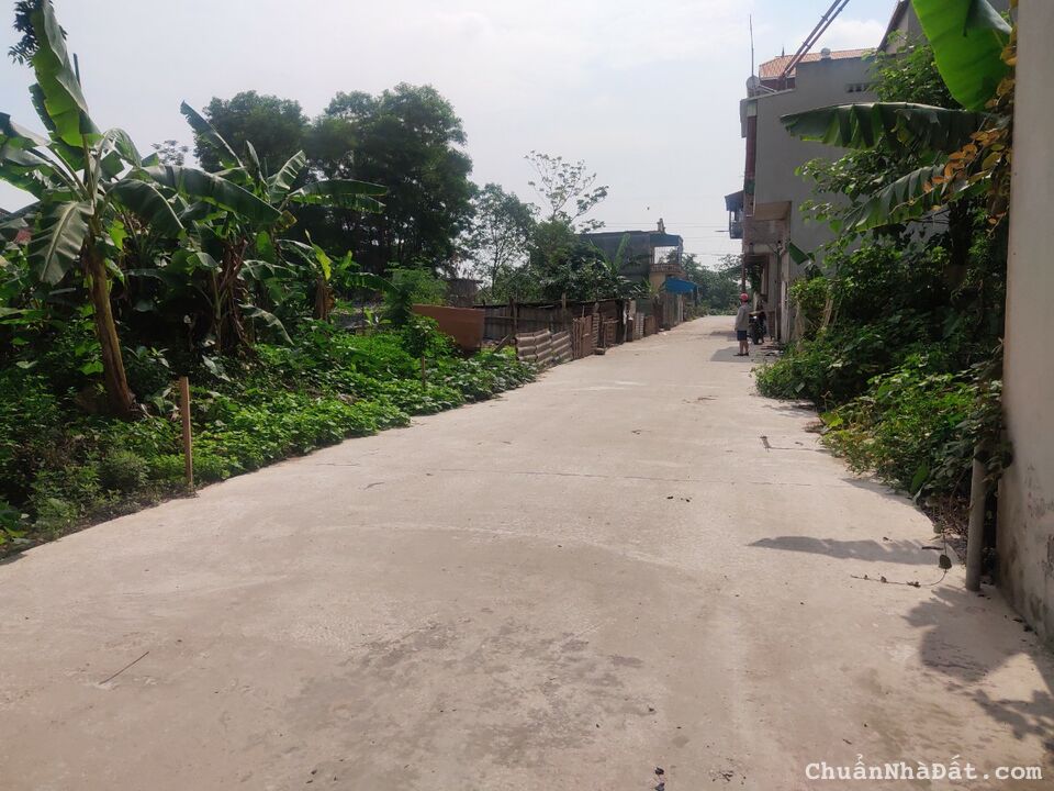 Bán đất Sài Sơn - Quốc Oai - Hà Nội