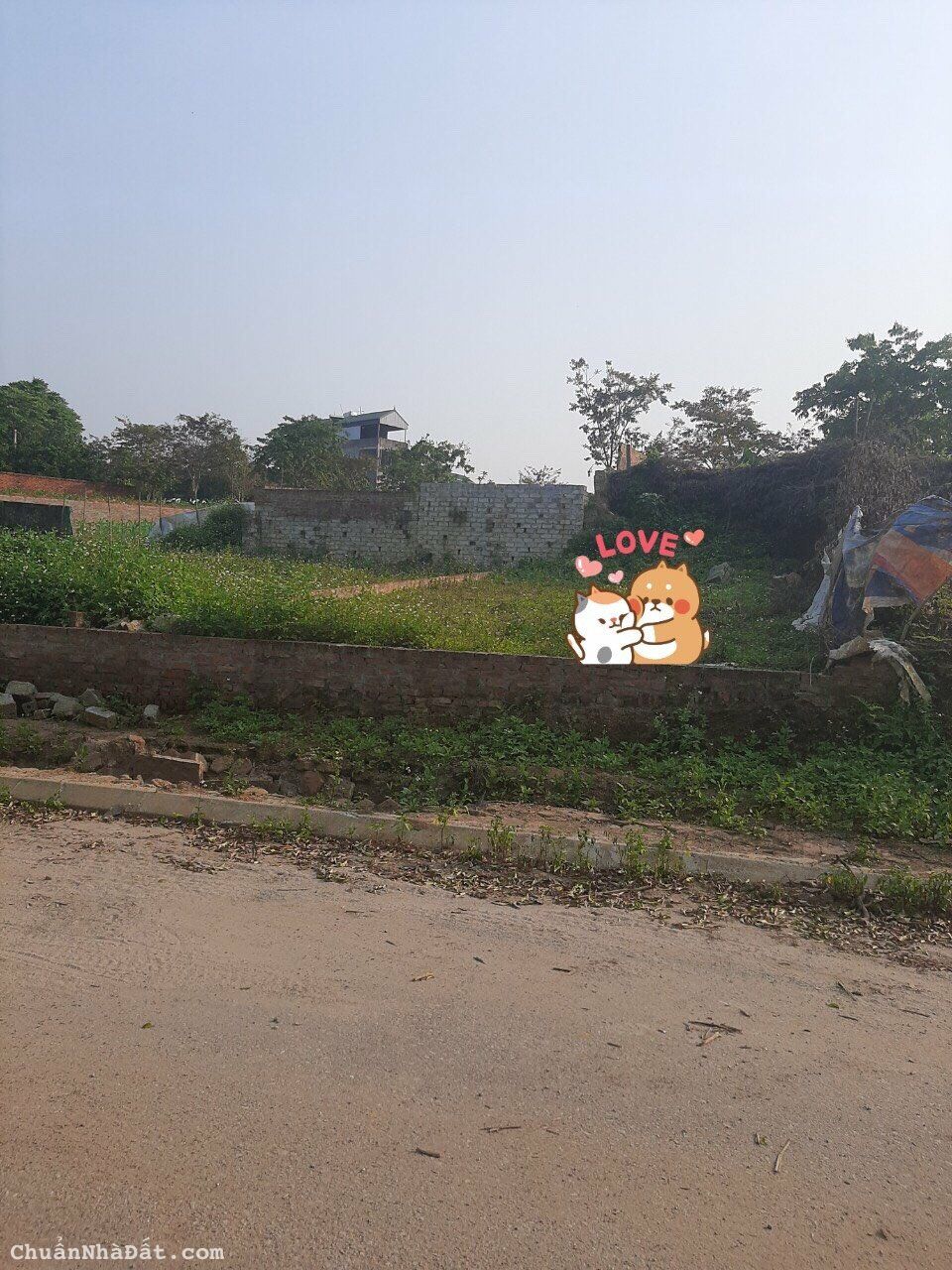 BÁN 104M ĐẤT TẠI KHU TÁI ĐỊNH CƯ PHÚ CÁT BÁN 104M ĐẤT TẠI KHU TÁI ĐỊNH CƯ PHÚ CÁT