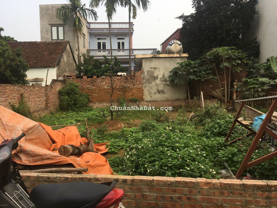 CTY MÌNH ĐANG CÓ NHIỀU MẢNH ĐẤT CHÍNH CHỦ TẠI NGỌC LIỆP CẦN TÌM CHỦ MỚI