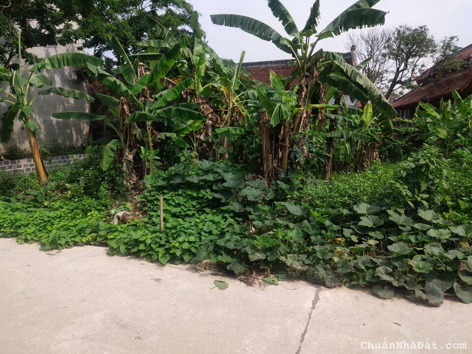 CC bán 70m đất ở tại khu tập thể nhầ máy xi măng Sài Sơn