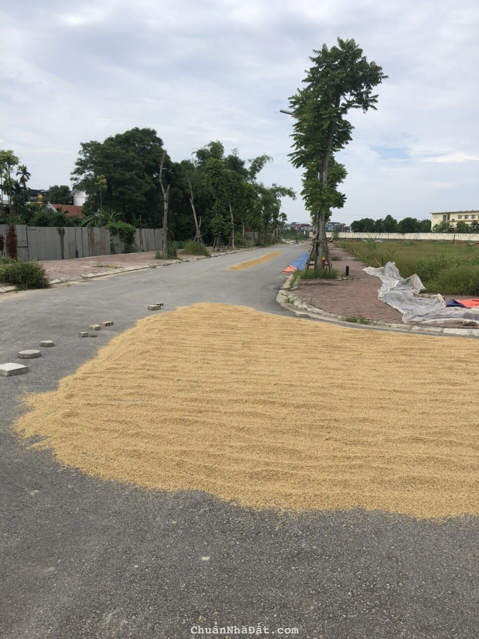 CC cấn bán đất khu đấu giá ĐỒNG NỎ (mặt đường Bắc Nam kéo dài ra đại lộ TL)