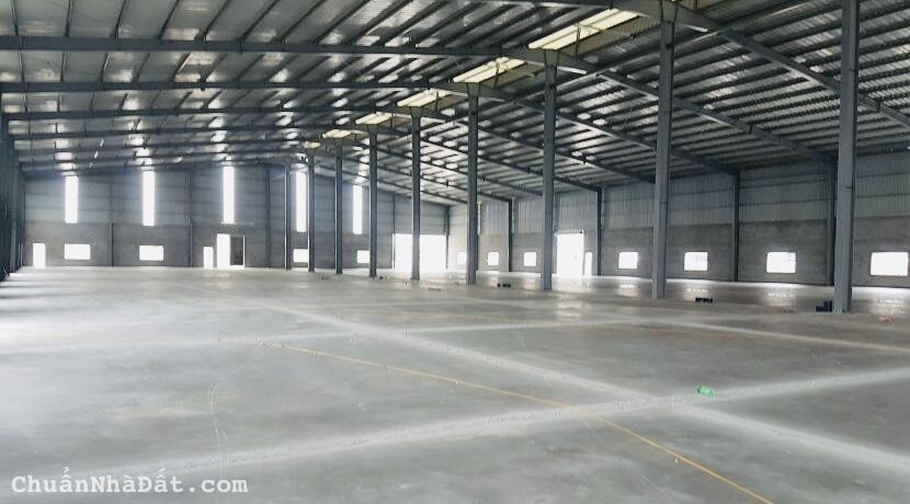 Cho thuê 2700 m² mặt tiền QL50, Phong Phú, Bình Chánh gần Chợ Phú Lạc Cho thuê 2700 m² mặt tiền QL50, Phong Phú, Bình Chánh gần Chợ Phú Lạc