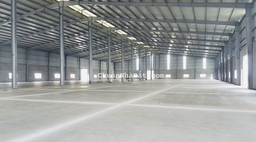Cho thuê 2700 m² mặt tiền QL50, Phong Phú, Bình Chánh gần Chợ Phú Lạc Cho thuê 2700 m² mặt tiền QL50, Phong Phú, Bình Chánh gần Chợ Phú Lạc