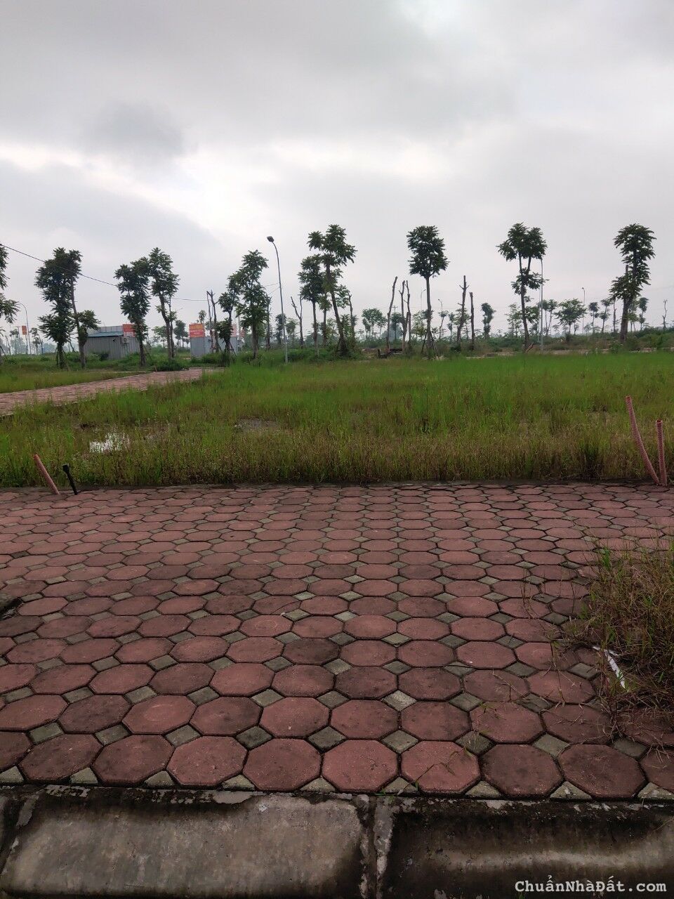 Bán đất đấu giá 75m2, MT 5m. Khu đấu giá DG06 thị trấn Quốc Oai. đã có sổ , giá Đầu tư