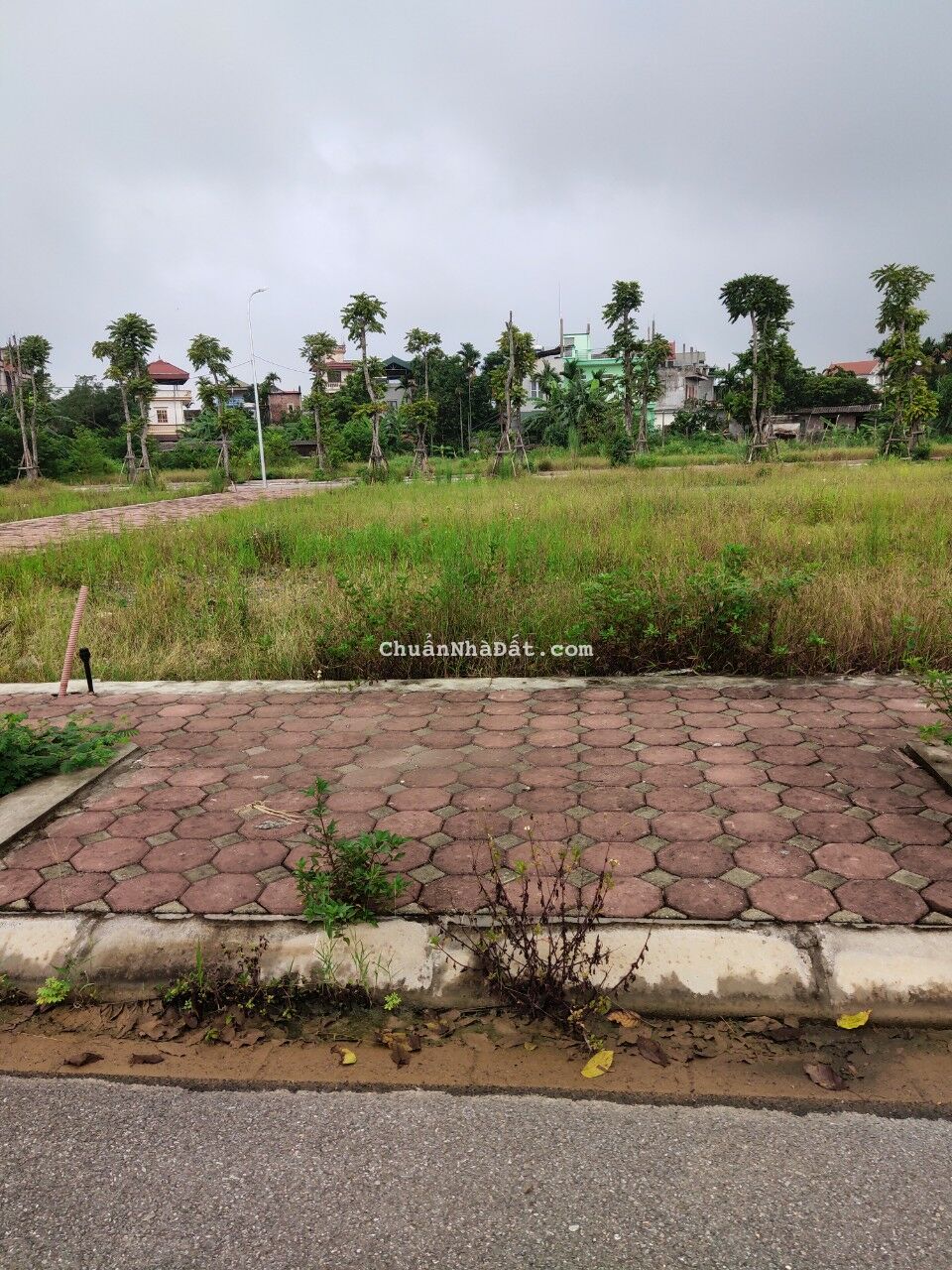 Bán đất đấu giá 75m2, MT 5m. Khu đấu giá DG06 thị trấn Quốc Oai. đã có sổ , giá Đầu tư