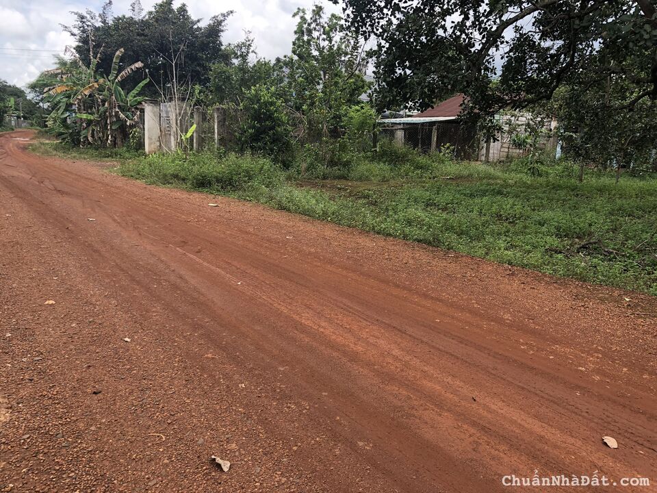 Chính chủ đất Bù Đăng DT 250m2(5x50) có sẵn 100m thổ cư giá 649tr MT đường 18m , cách DT 755 100m Chính chủ đất Bù Đăng DT 250m2(5x50) có sẵn 100m thổ cư giá 649tr MT đường 18m , cách DT 755 100m