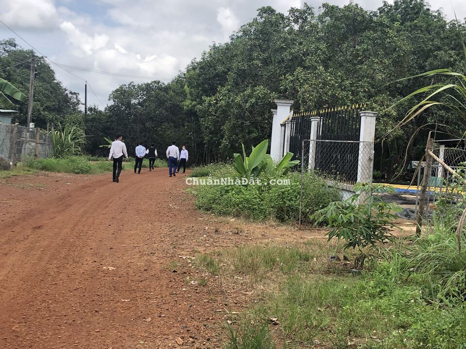 Chính chủ đất Bù Đăng DT 250m2(5x50) có sẵn 100m thổ cư giá 649tr MT đường 18m , cách DT 755 100m Chính chủ đất Bù Đăng DT 250m2(5x50) có sẵn 100m thổ cư giá 649tr MT đường 18m , cách DT 755 100m