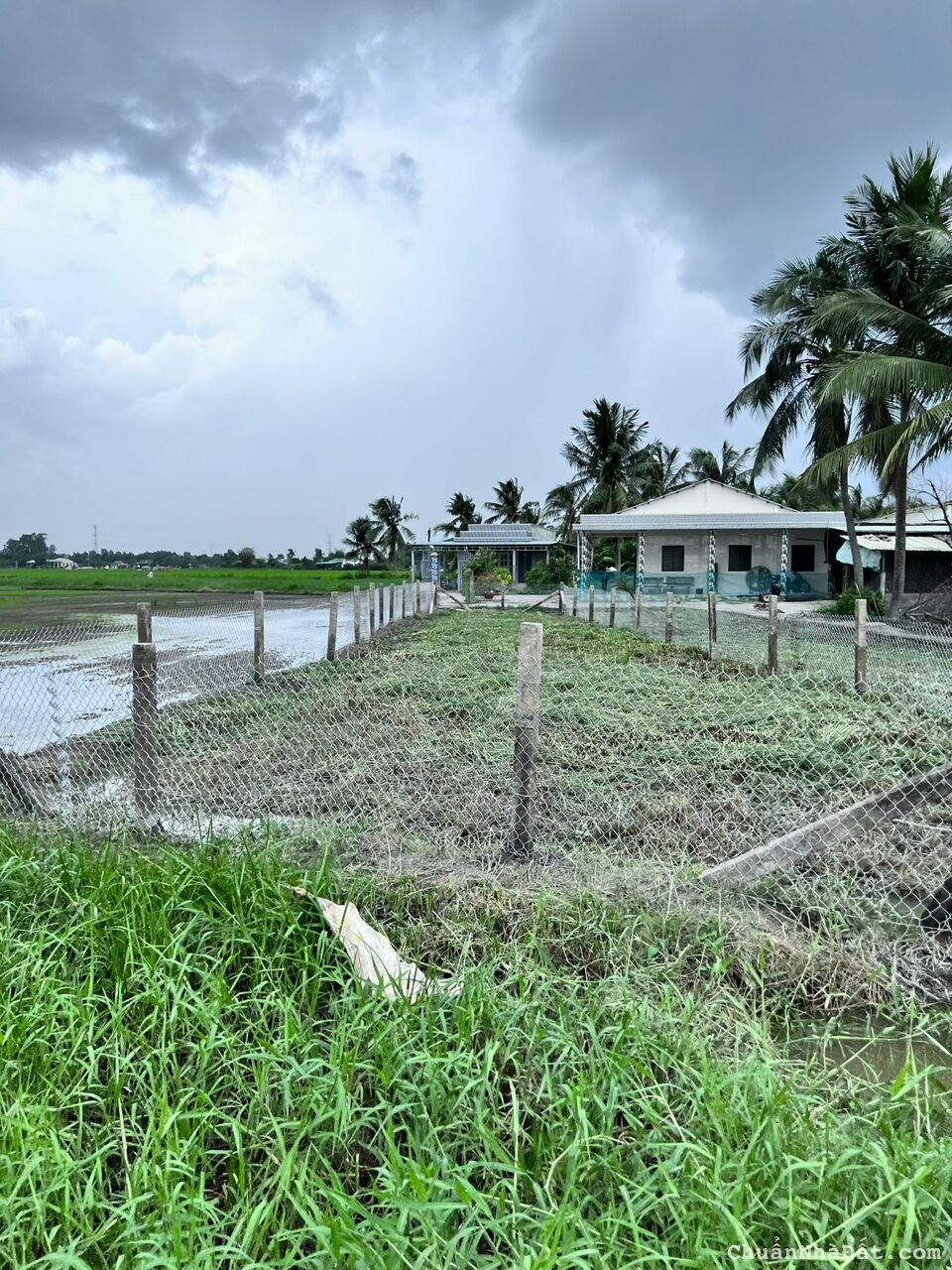 05-0222- 🌸🌸ĐẤT THỔ - TÂN TRỤ - XE HƠI TẬN NƠI - 257 mv - 720 TR- LH 0906.506.516