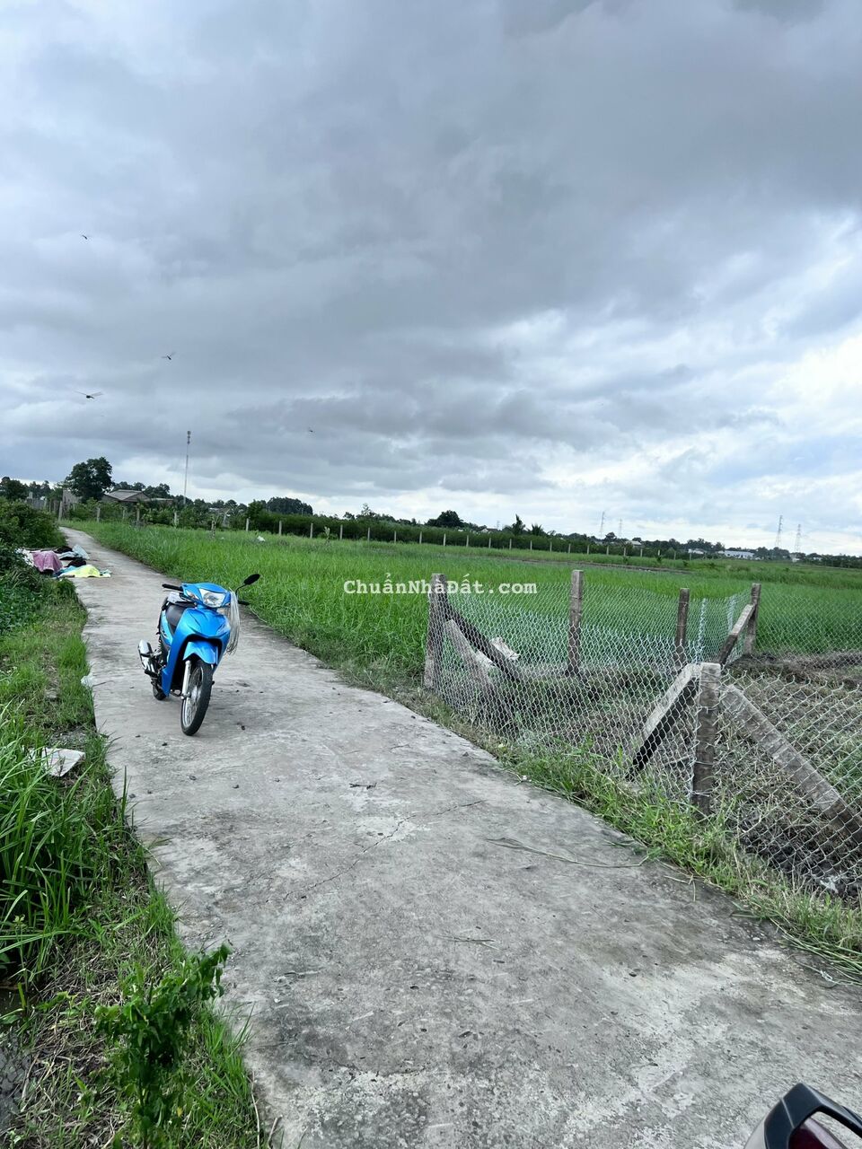 05-0222- 🌸🌸ĐẤT THỔ - TÂN TRỤ - XE HƠI TẬN NƠI - 257 mv - 720 TR- LH 0906.506.516