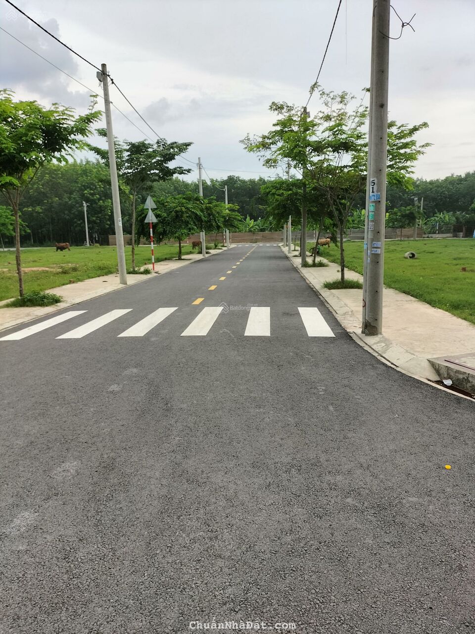 Đất Bình Chuẩn sở hữu chỉ từ 800tr có ngay lô đất trung tâm Thuận An 