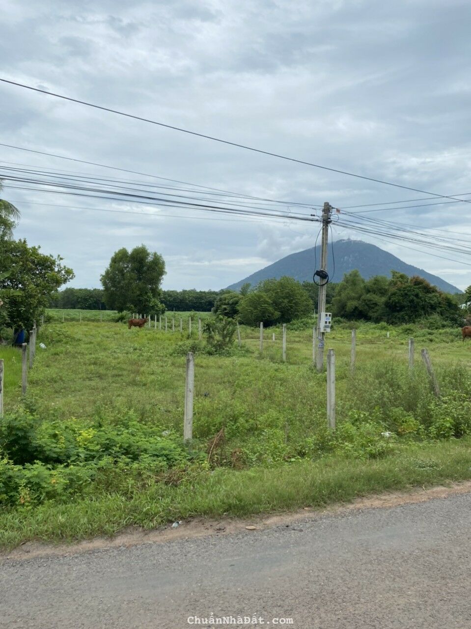 Bán Nhanh 1000m2 đất, MT đường nhựa, TL 781 Châu Thành Bán Nhanh 1000m2 đất, MT đường nhựa, TL 781 Châu Thành