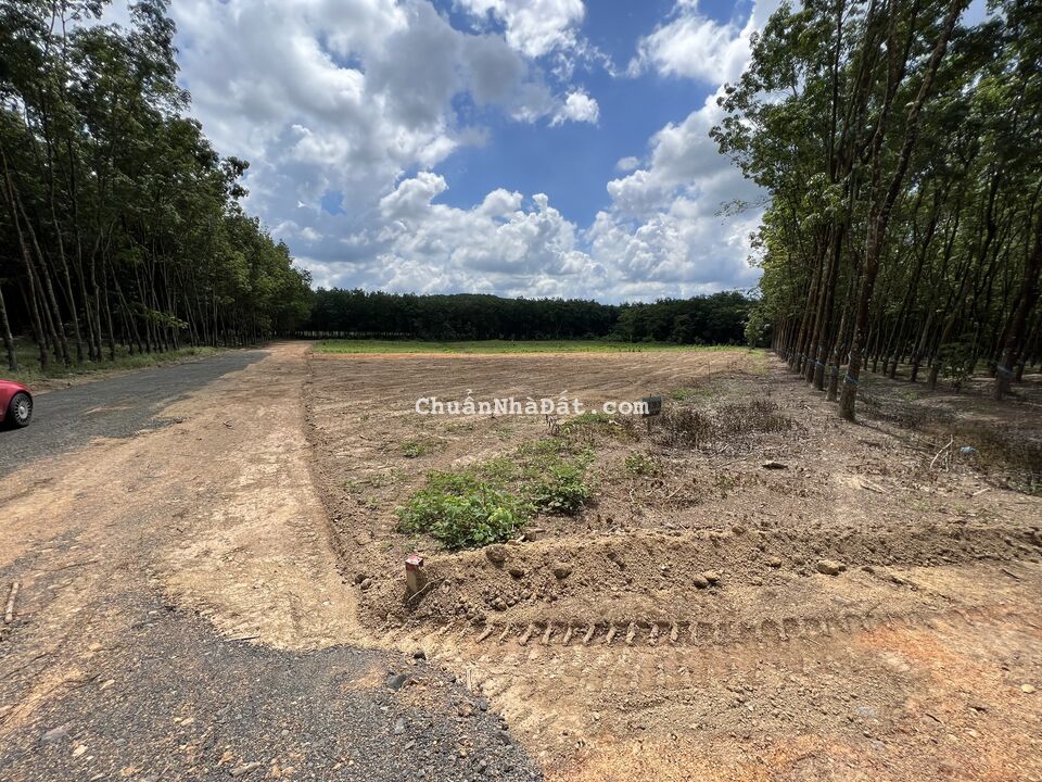 Bán gấp lô trong sau chợ Hoà Bình ĐT 781, Châu Thành