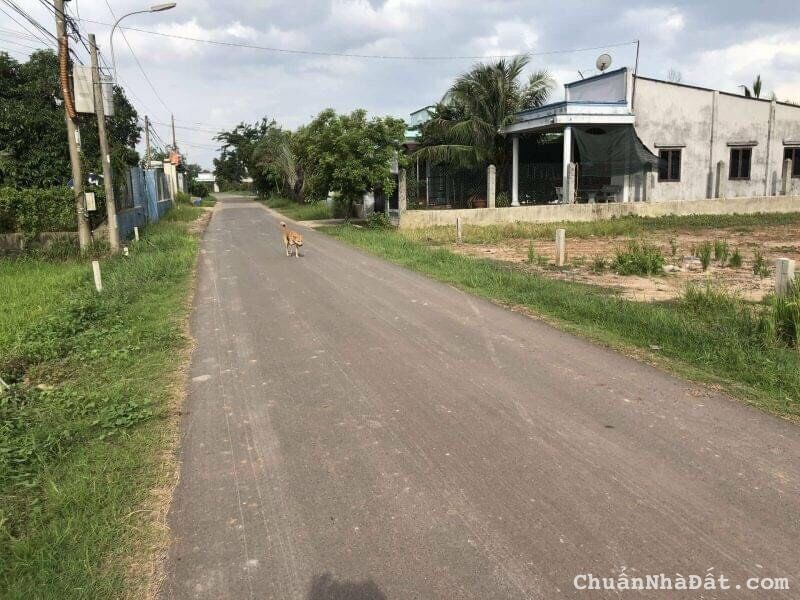 Cần bán lô đất MT TL 786, xã Long Khánh, Bến Cầu Cần bán lô đất MT TL 786, xã Long Khánh, Bến Cầu