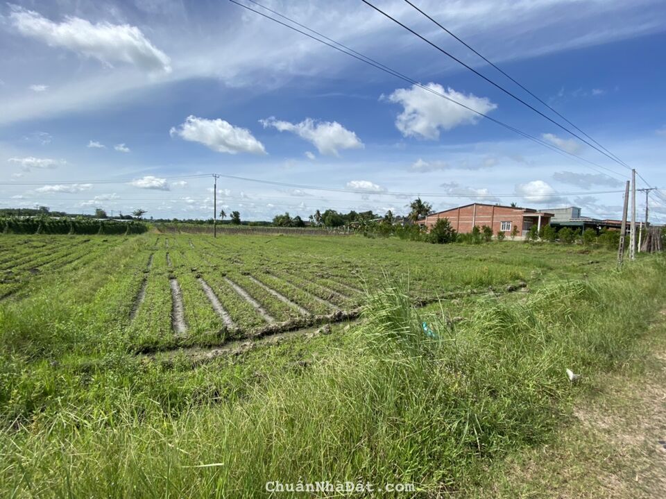 Tôi Cần bán sỉ 25 Lô Đất đường 786, Đất Sạch, Đường Nhựa, Xã Long Giang