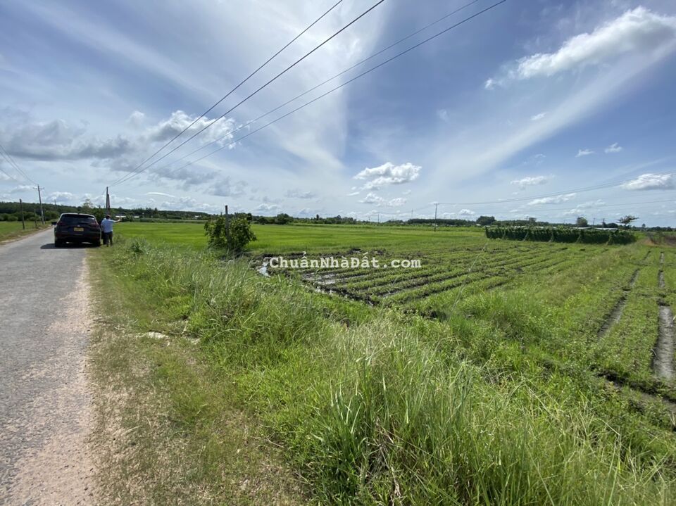 Tôi Cần bán sỉ 25 Lô Đất đường 786, Đất Sạch, Đường Nhựa, Xã Long Giang