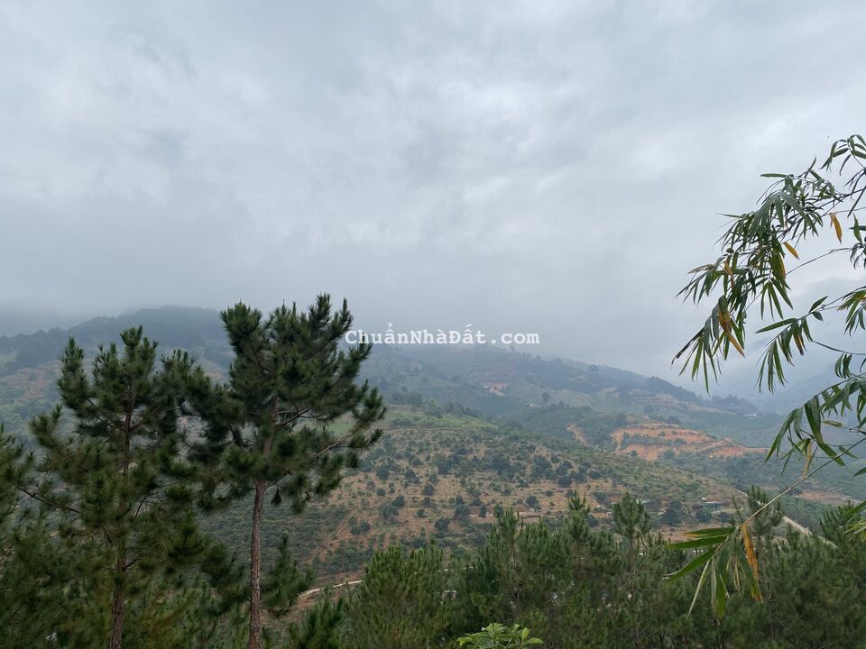 Nam Ban Villas, 6,3Tr/m2, sổ hồng an toàn