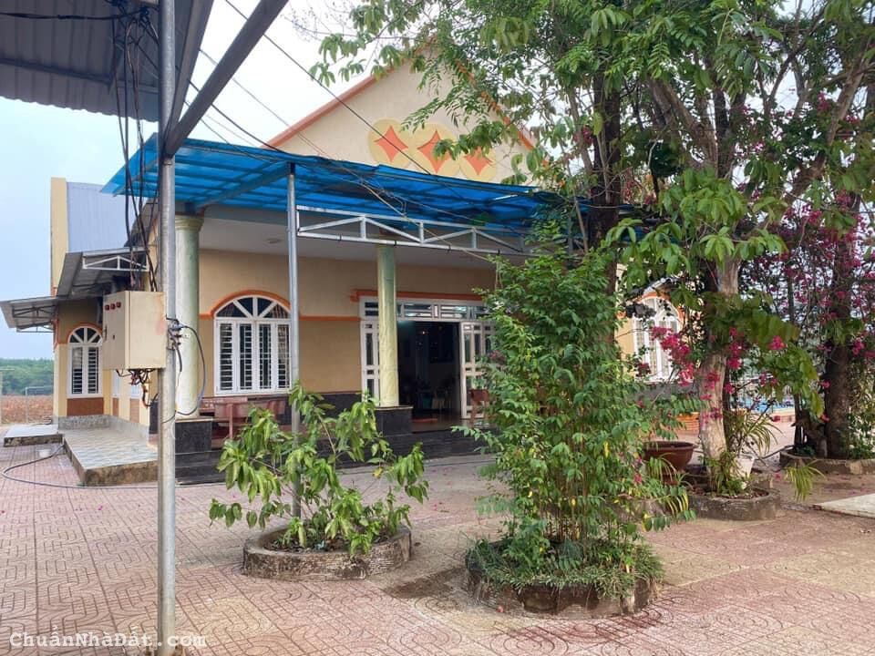 CẦN BÁN GẦN 30 MẪU ĐẤT TRỒNG CAO SU (sổ hồng riêng)